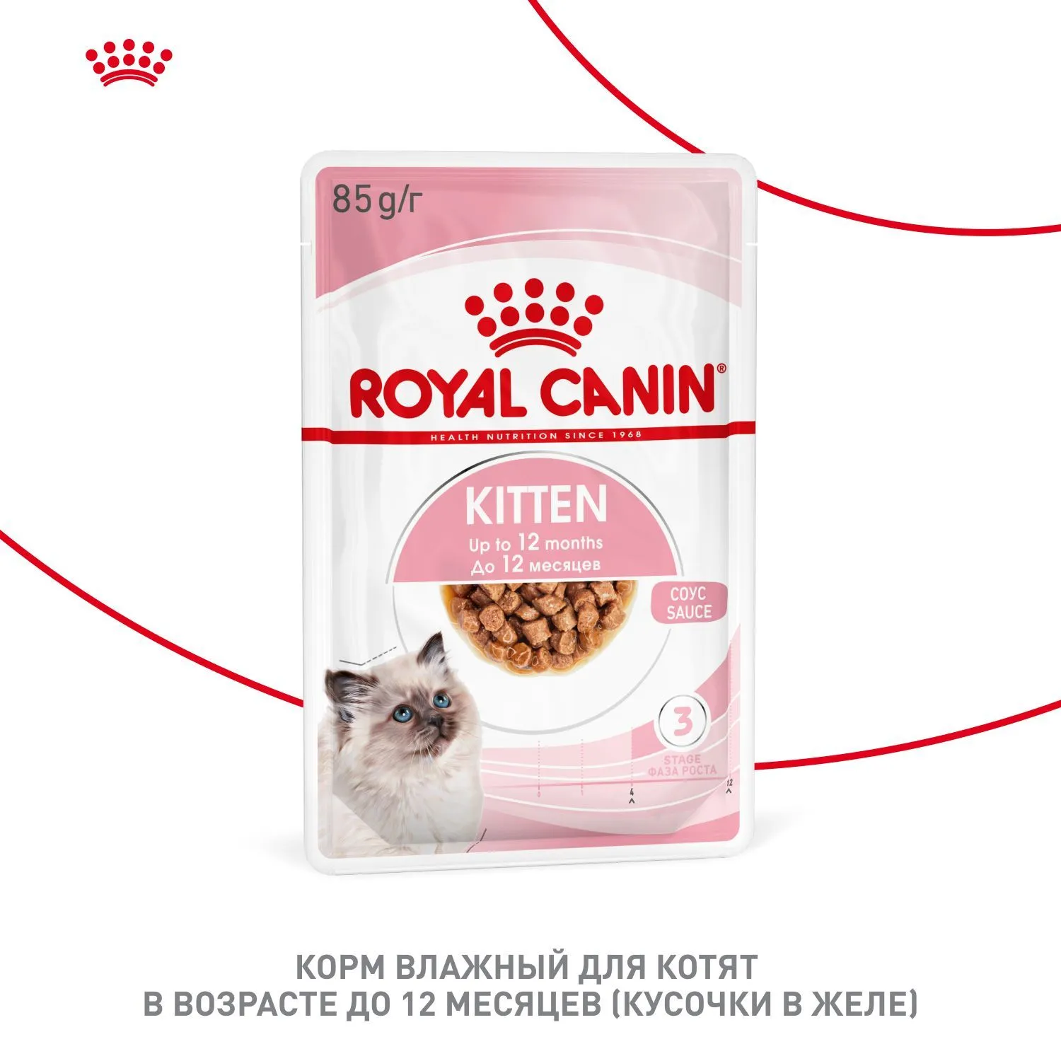 Royal Canin Kitten (желе)