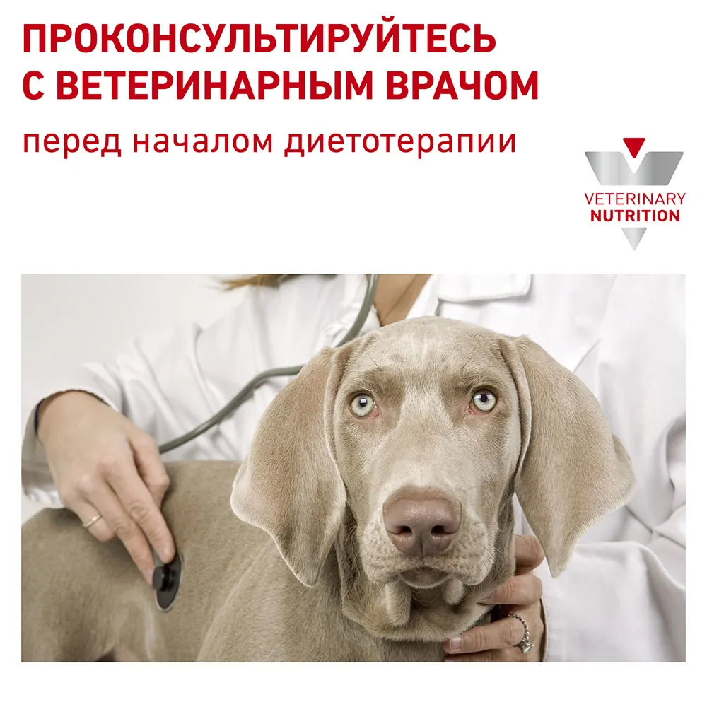 Royal Canin Recovery (мусс)