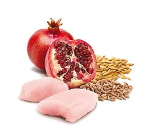 Консервы Farmina N&D Ancestral Grain Dog Adult Mini (Курица, гранат)