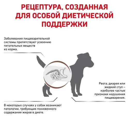Royal Canin Gastrointestinal Low Fat Small Dog