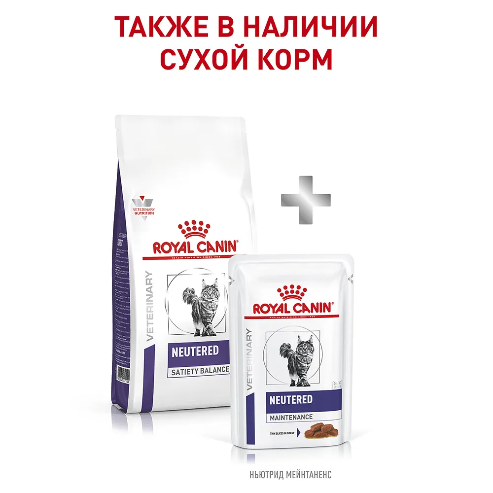 Royal Canin Neutered Adult Maintenance (соус)