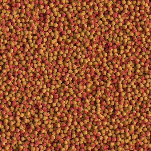 Tetra Корм Cichlid Colour