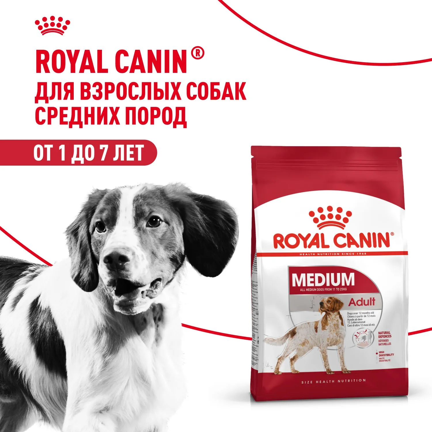 Корм Royal Canin Medium Adult для взрослых собак средних размеров от 12 месяцев
