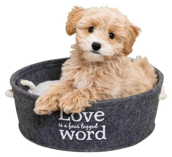 Лежак "Trixie" "Lian"