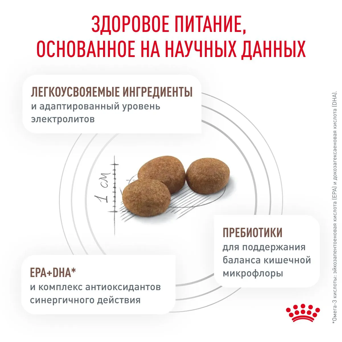 Royal Canin Gastrointestinal Low Fat Small Dog