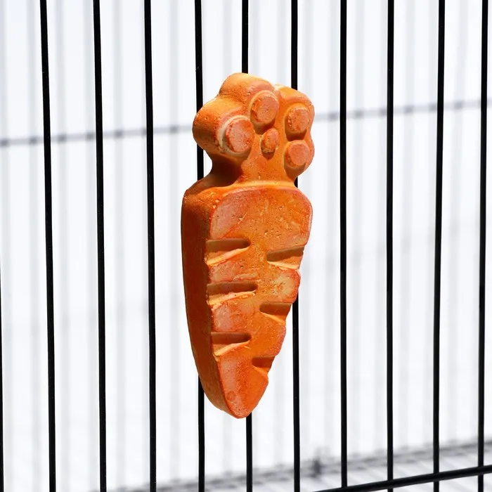 Пижон Минеральный камень для грызунов морковка