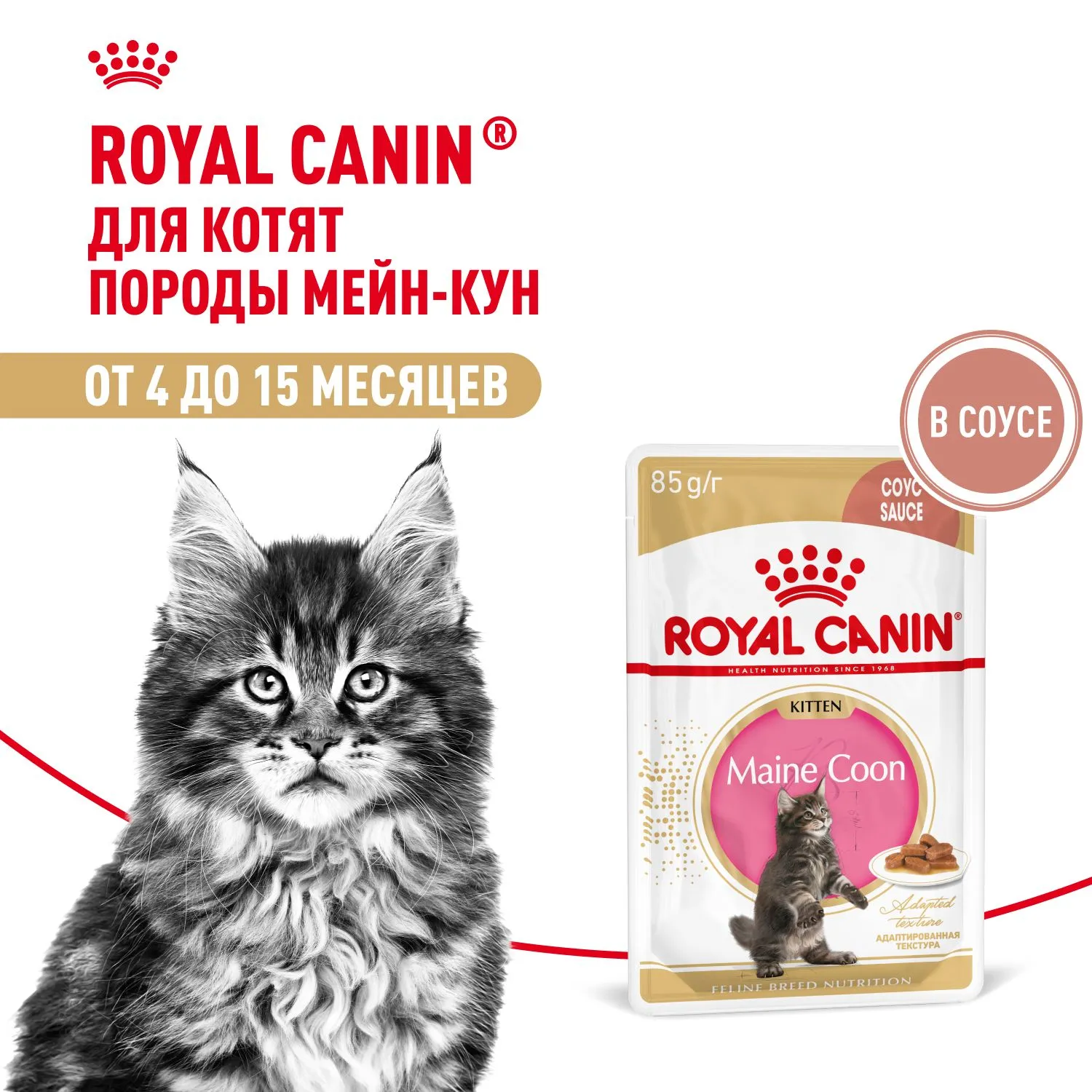 Royal Canin Maine Coon Kitten (соус)