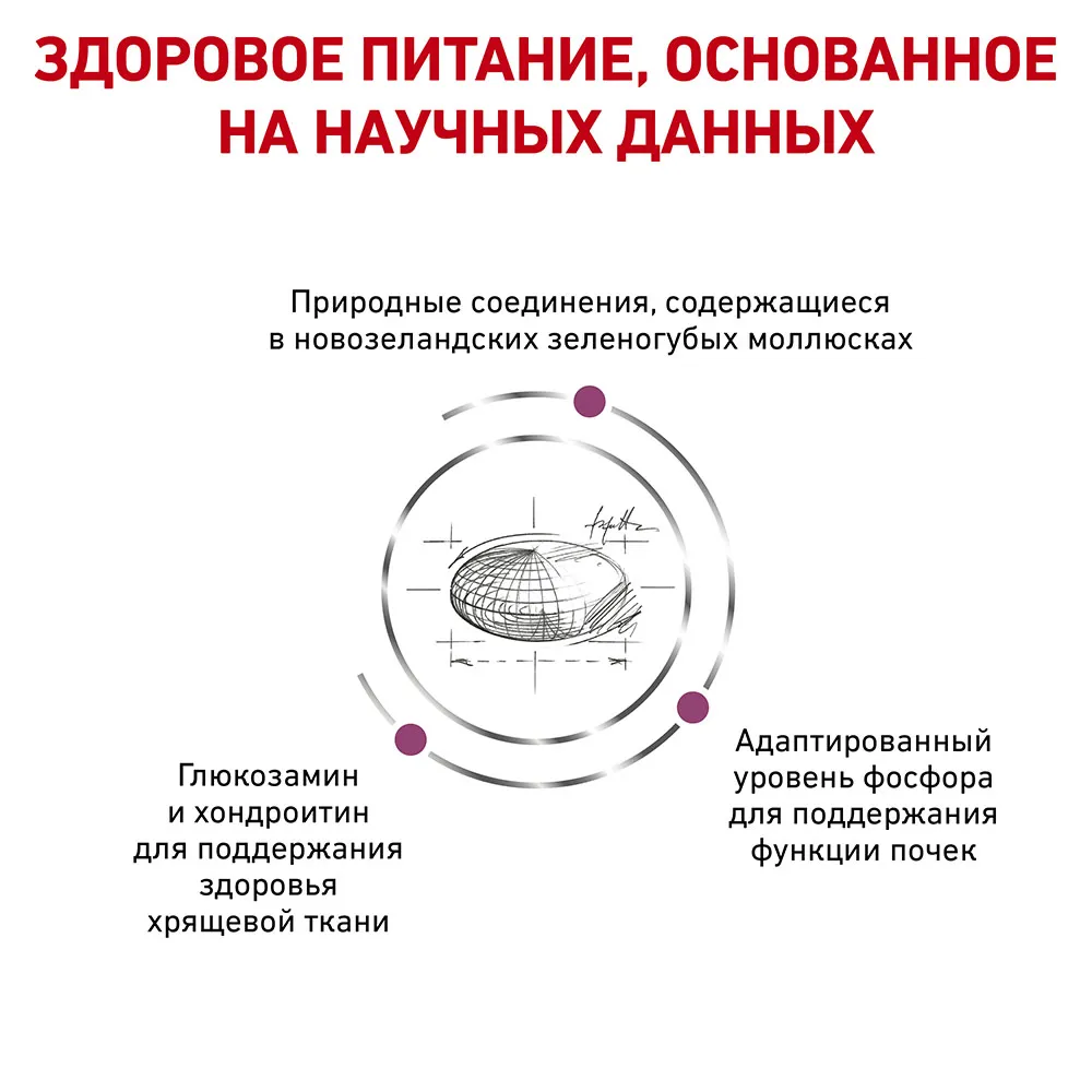 Royal Canin Mobility Cat