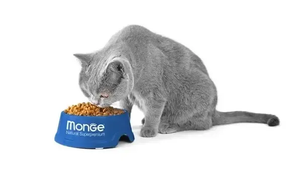 Monge VetSolution Hepatic Cat лечебный корм для кошек