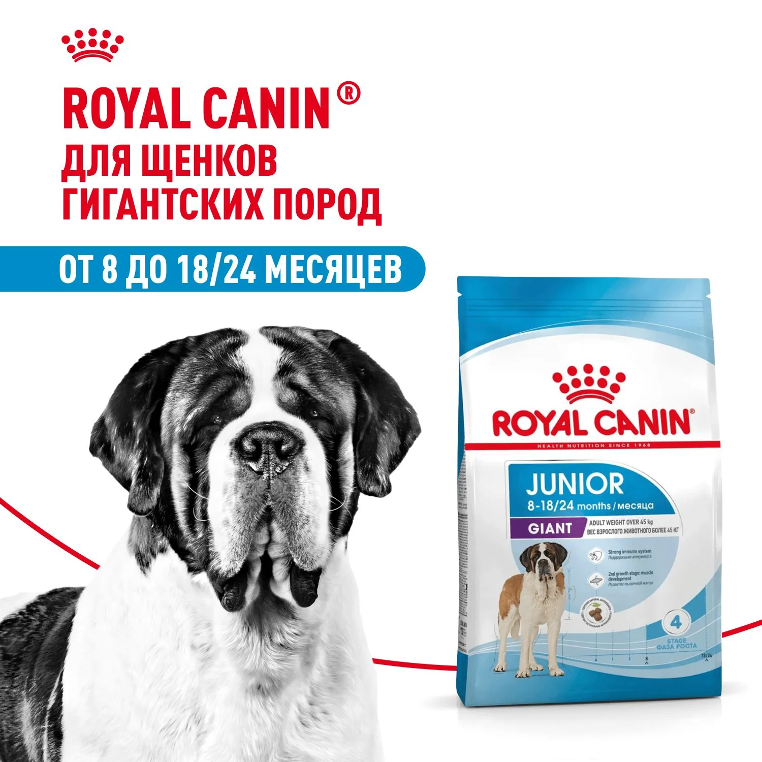 Royal Canin Giant Junior