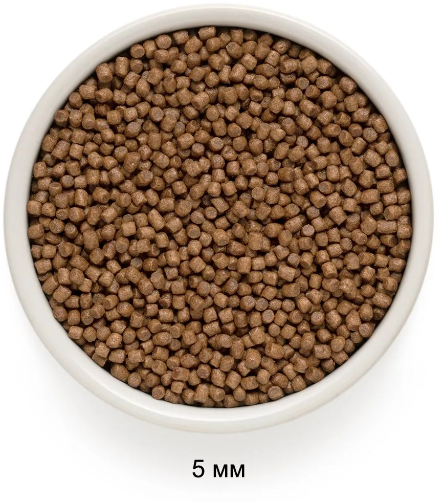 Grandorf Kitten (Ягненок, индейка)