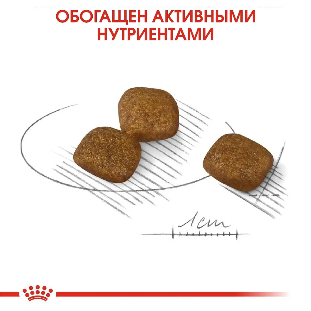 Корм Royal Canin Mini Coat Care для собак
