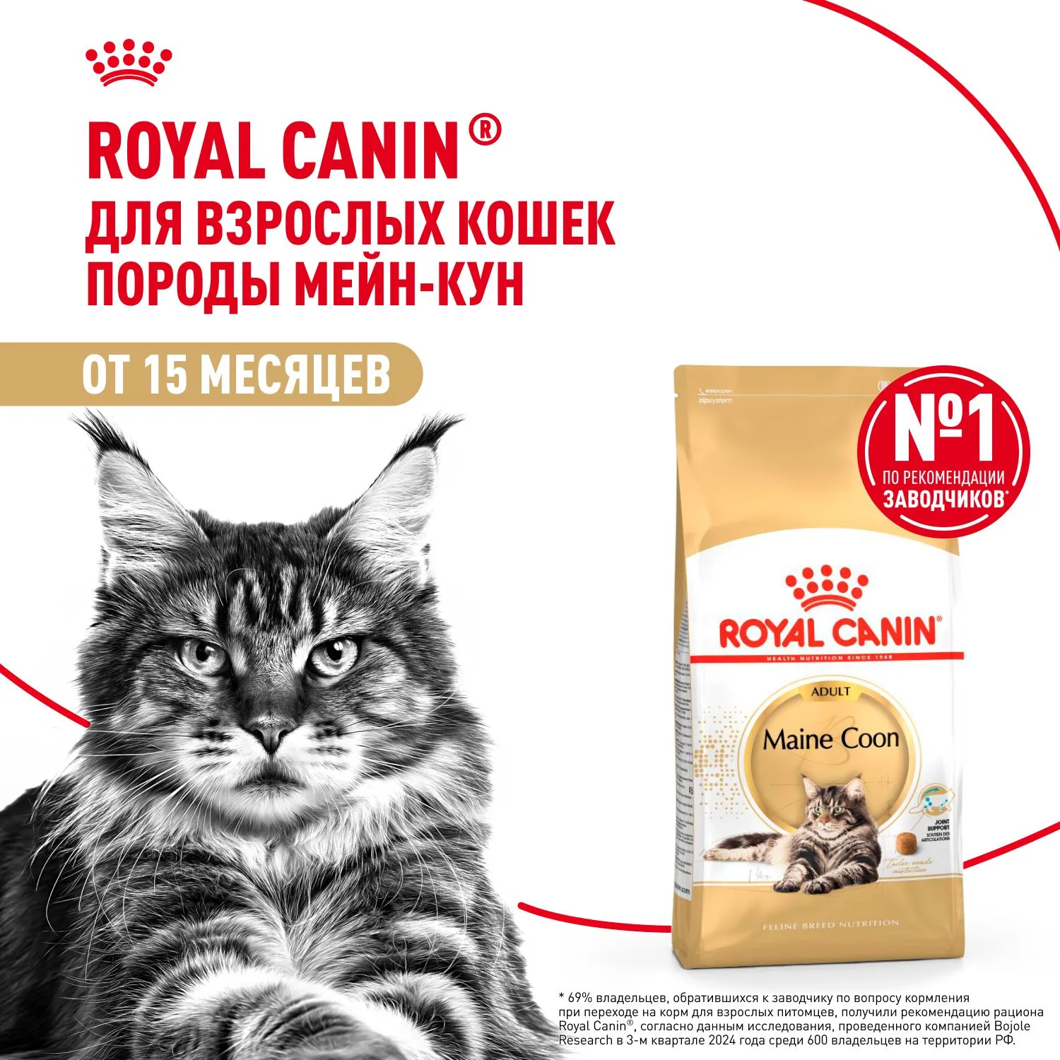 Корм Royal Canin Maine Coon Adult для кошек