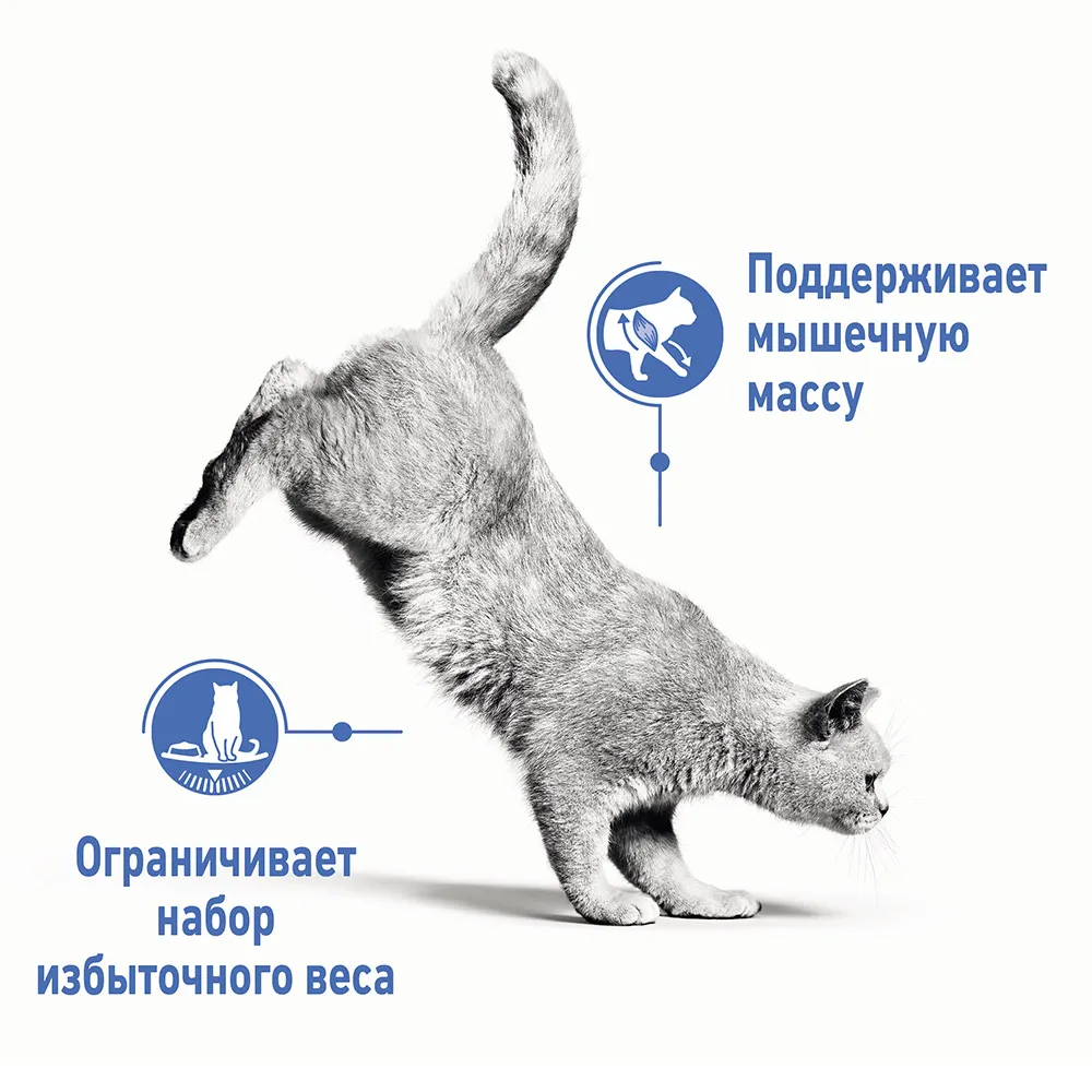 Royal Canin Light Weight Care (соус)