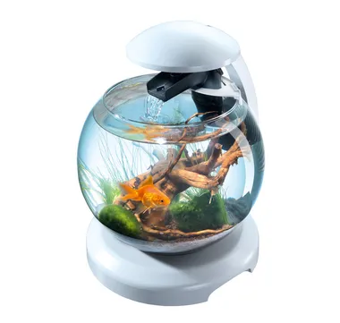 Tetra Аквариум "Cascade Globe Glass", 6,8 л