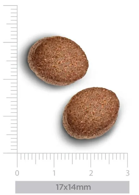 Trovet Plus Adult Dog Hypoallergenic (Конина)