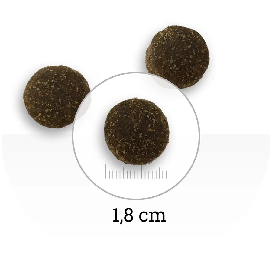 Natura Wild North Country (Курица, утка, индейка)