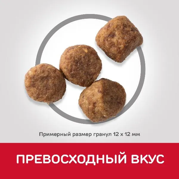 Корм Hill's Science Plan для пожилых собак 7+ средних пород для поддержания активности и здоровья желудочно-кишечного тракта (курица)