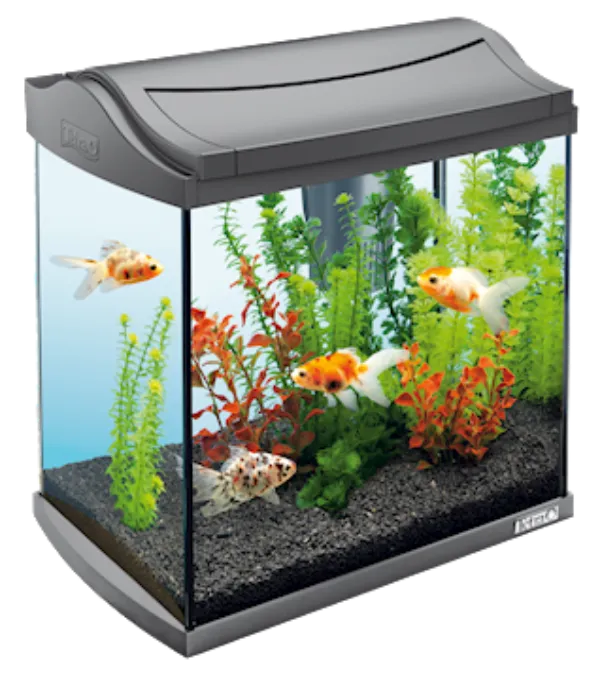 Tetra Аквариум "AquaArt LED Goldfish", 30 л