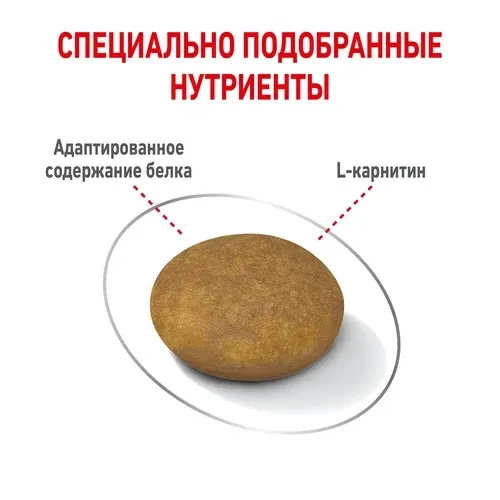 Корм Royal Canin X-Small Light Weight Care для собак