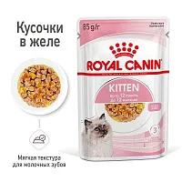 Royal Canin Kitten (желе)