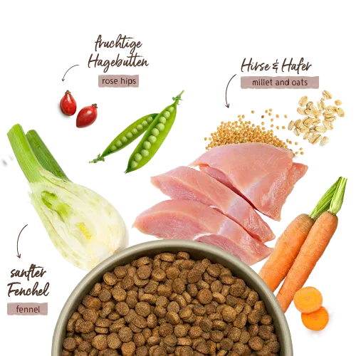 Bosch HPC Menue Junior (Индейка с овсом и пшеном)