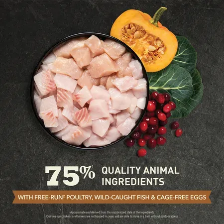 Корм ACANA WILD PRAIRIE Cat & Kitten (Птица, рыба) для кошек