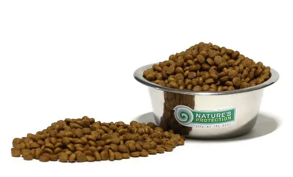 Nature's Protection Kitten