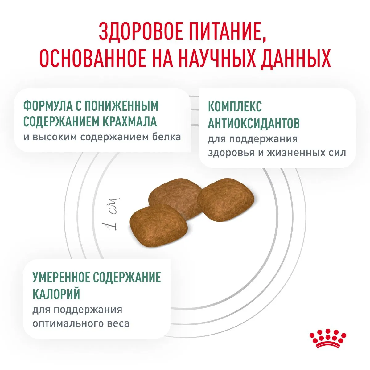Royal Canin Diabetic Dog