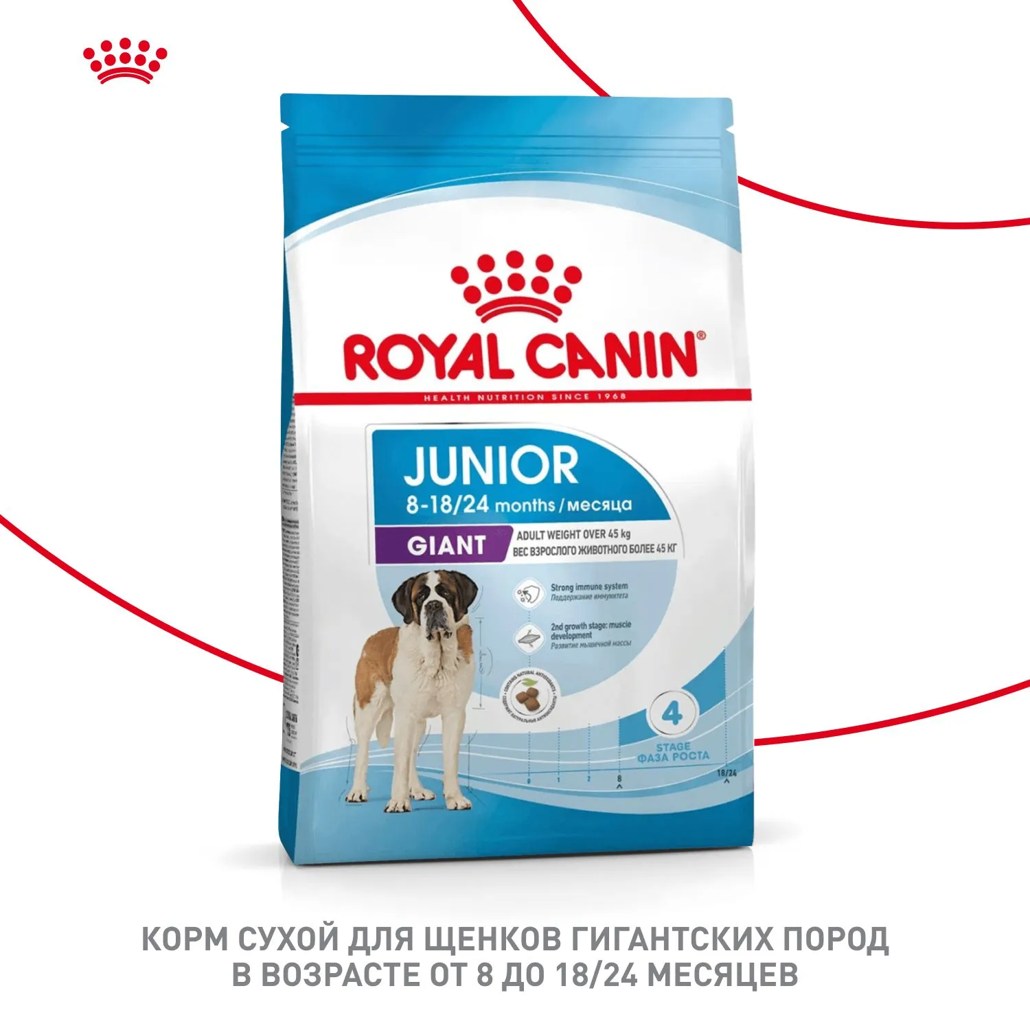 Royal Canin Giant Junior