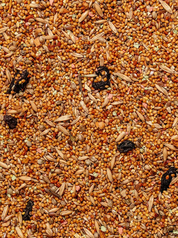 MIKIMEALS Корм для волнистых попугаев