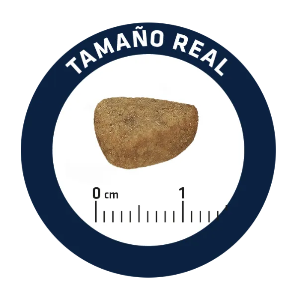 Advance Cat Senior Sterilized (Курица)