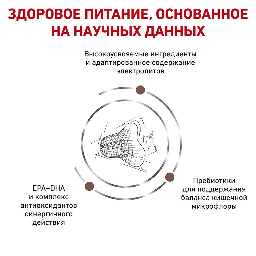 Royal Canin Gastrointestinal Fibre Response
