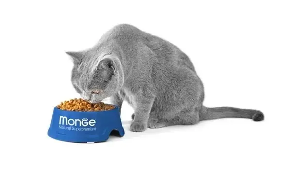 Monge VetSolution Urinary Struvite Cat ветеринарный корм для кошек