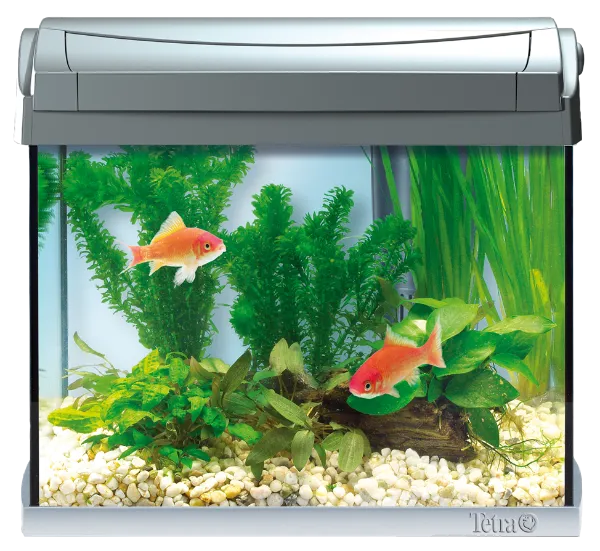Tetra Аквариум "AquaArt LED Goldfish", 20 л