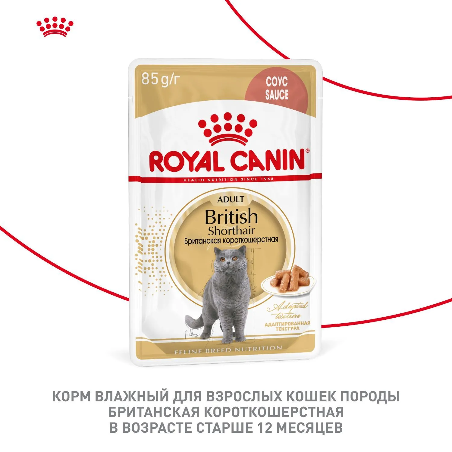 Royal Canin British Shorthair Adult (соус)