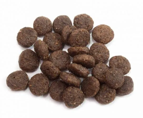 Happy Dog Sensible Canada