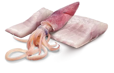 Консервы Farmina N&D Ocean Dog Adult Mini (Сибас, кальмар)