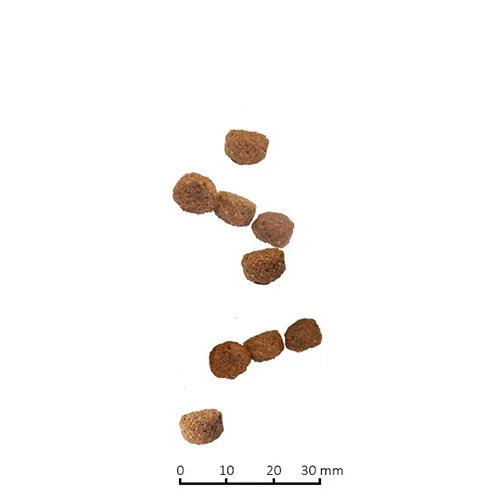 Корм Farmina N&D GF Prime Cat Neutered (Курица и гранат) для кошек