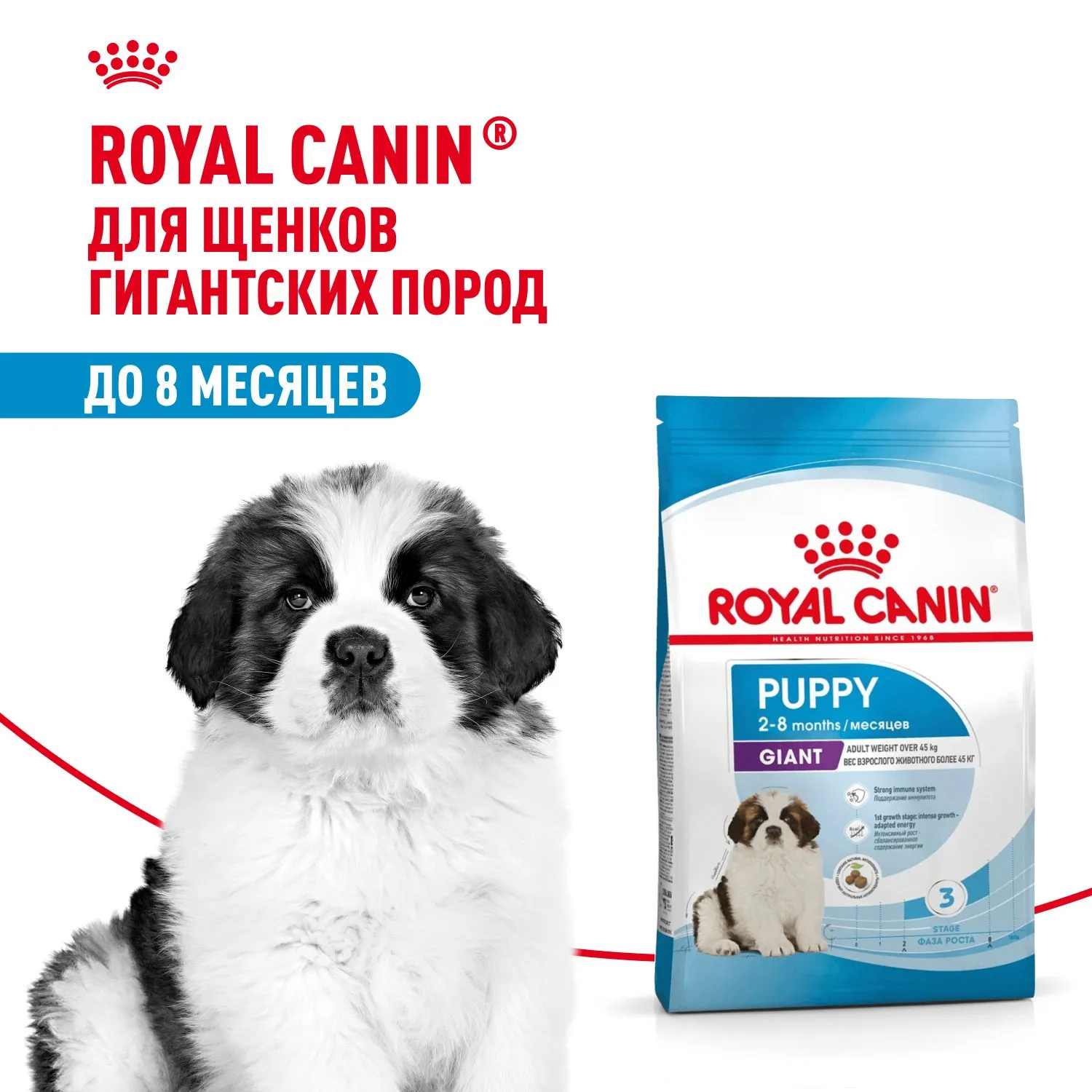 Royal Canin Giant Puppy