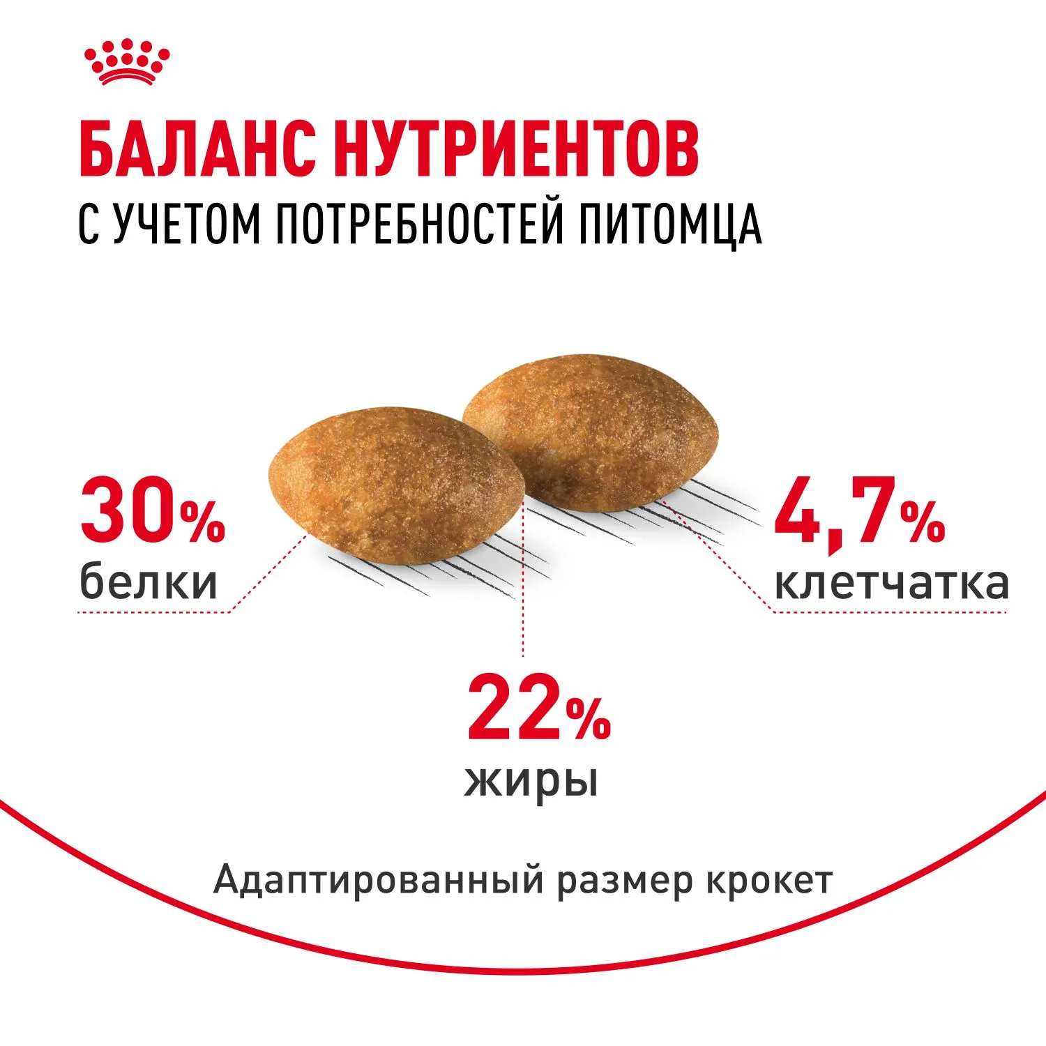 Корм Royal Canin Persian Adult для кошек