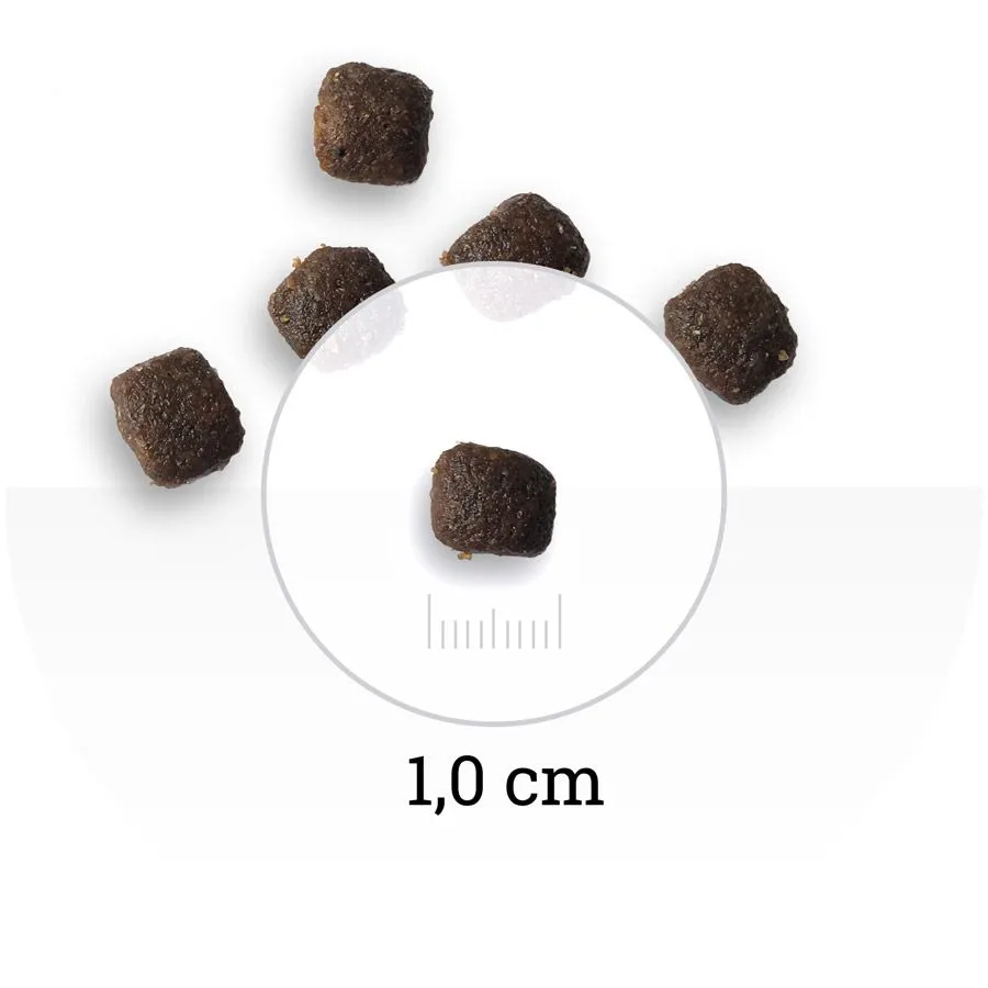 Bon Appetit Gourmand Adult Cat (Курица, лосось, рис)