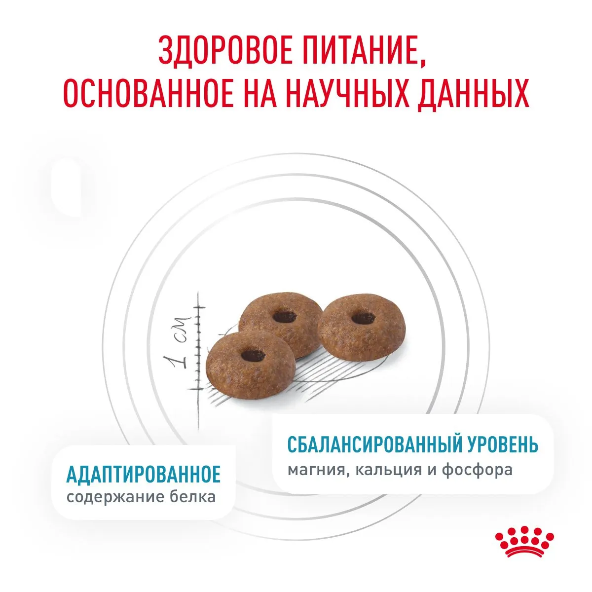 Корм Royal Canin Skin & Coat Feline
