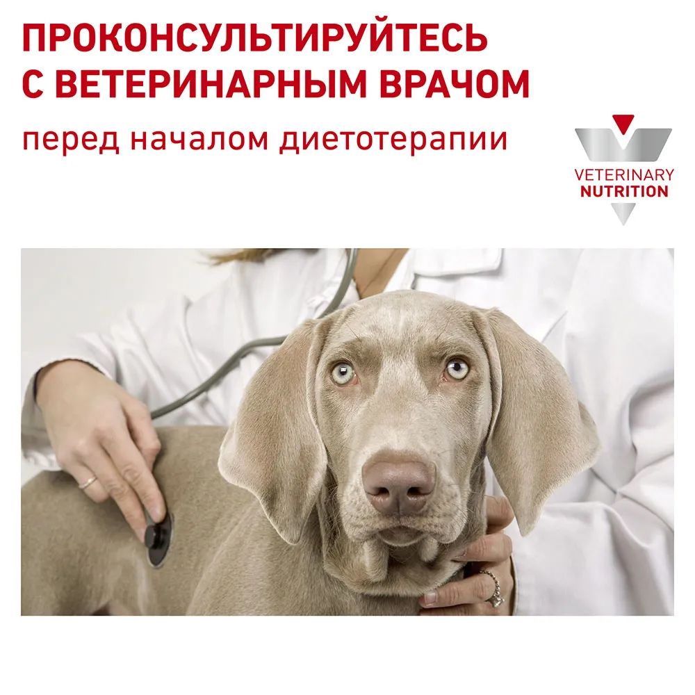 Корм Royal Canin Anallergenic Dog для взрослых собак при пищевой аллергии
