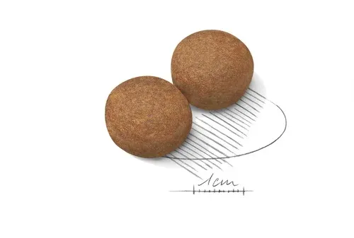 Корм Royal Canin Maxi Adult 5+ для собак