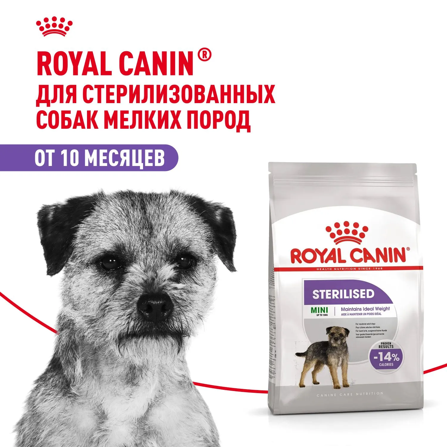 Корм Royal Canin Mini Sterilised для собак
