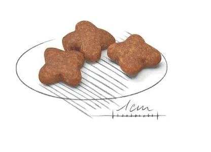 Корм Royal Canin Mini Adult 8+ для собак мелких пород от 8 лет и старше