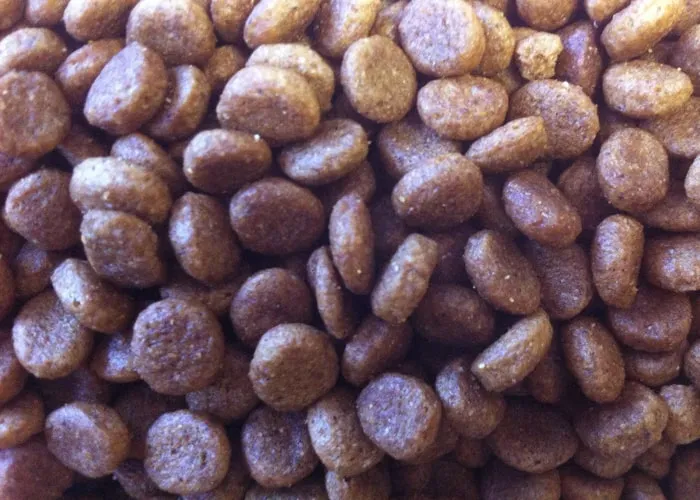 ZooRing Adult Mini Dog (Ягненок, рис)