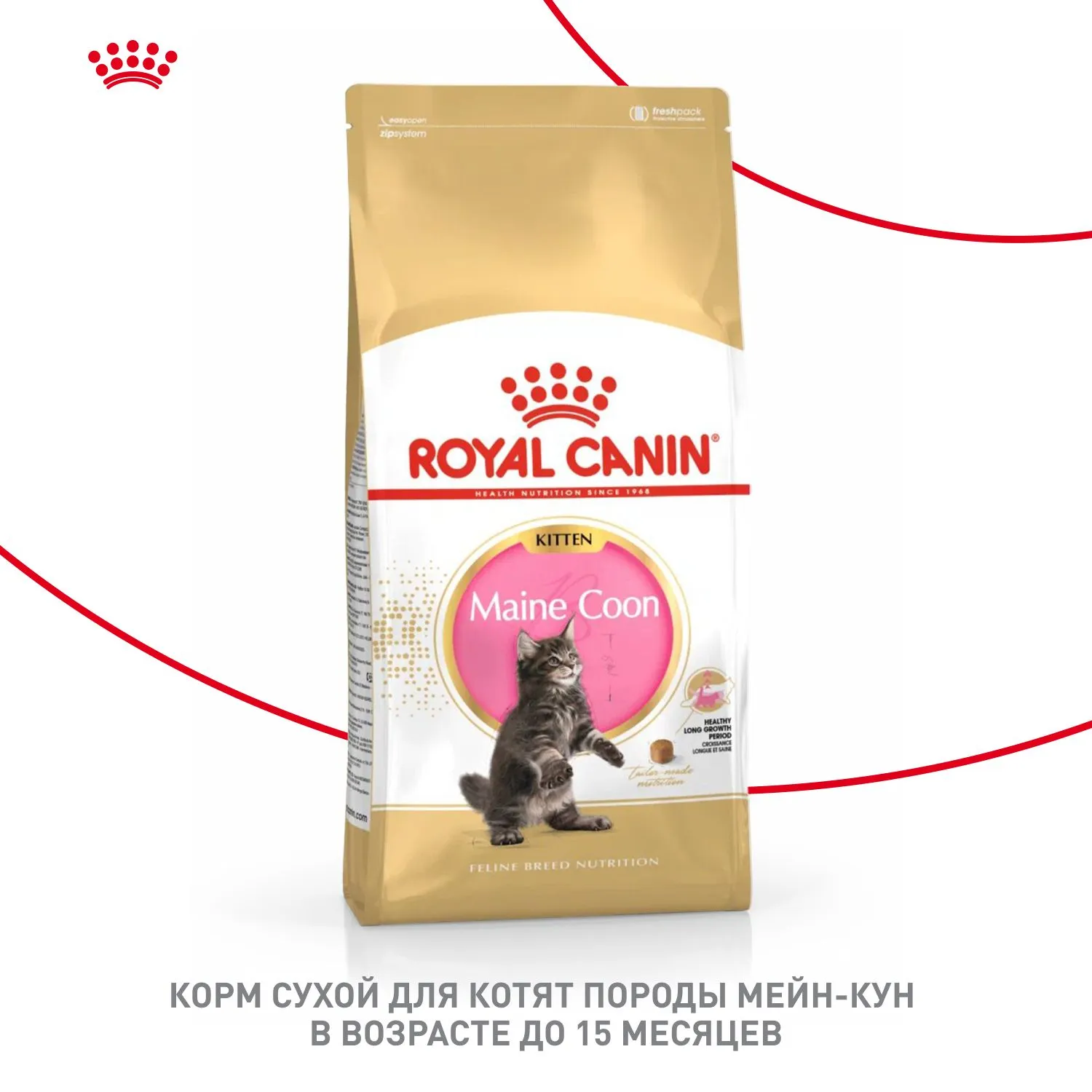 Корм Royal Canin Maine Coon Kitten для котят