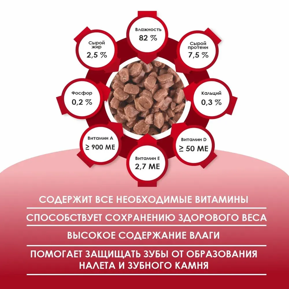 Kissa Пауч для кошек (Говядина в соусе)